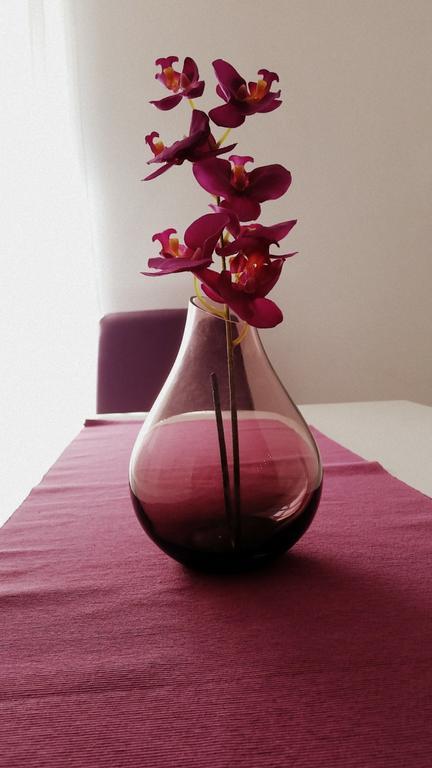 Apartment Soric Senj  Dış mekan fotoğraf